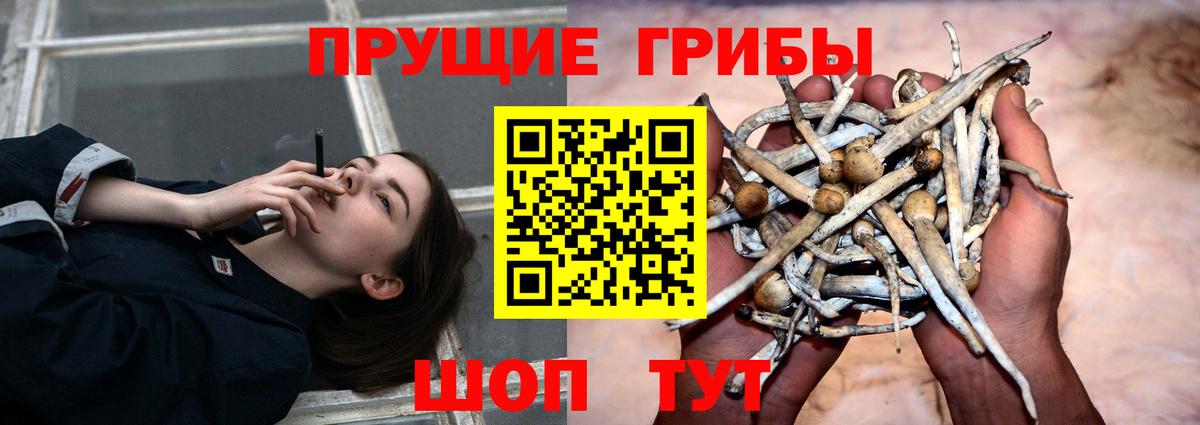 Галлюциногенные грибы прущие грибы  сколько стоит  Ижевск  Вход с VPN 