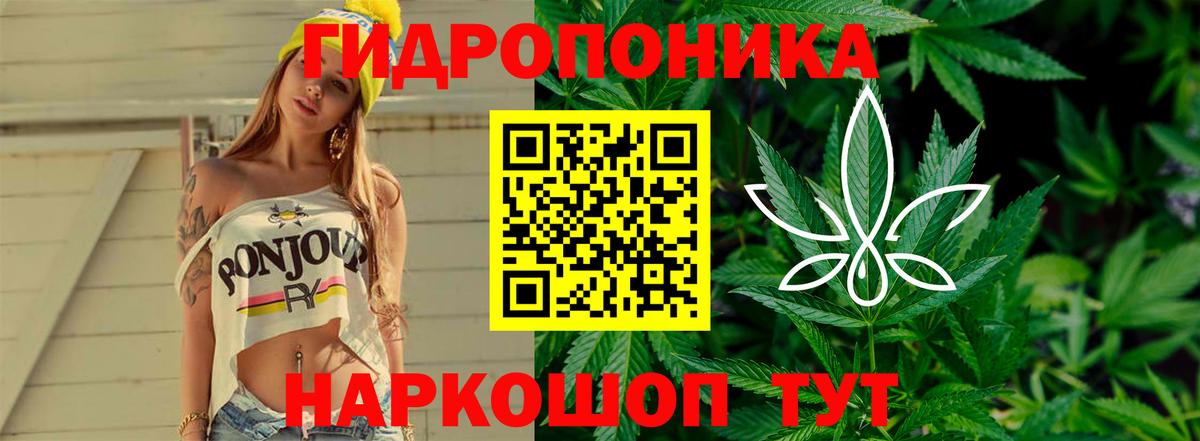 Конопля гибрид  Канабис ГИДРОПОН  Вход с VPN  Канабис LSD WEED  Ижевск 